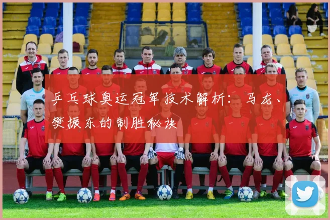 乒乓球奥运冠军技术解析:马龙、樊振东的制胜秘诀