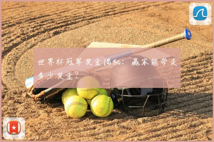 世界杯冠军奖金揭秘：赢家能带走多少奖金？
